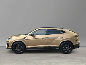 Urus