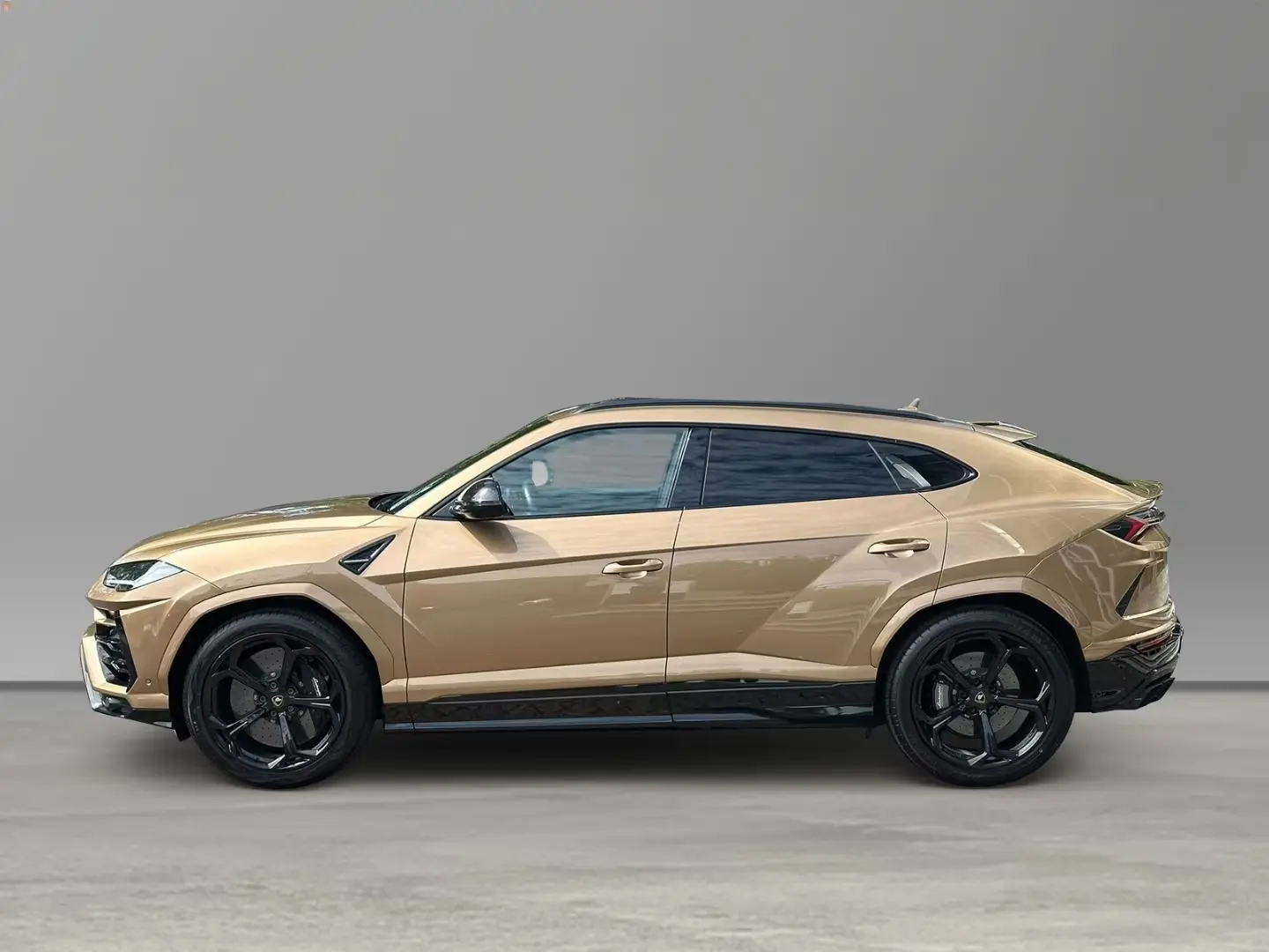 Urus