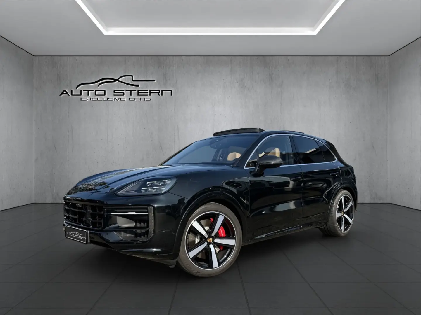 Cayenne S SportDesign CARBON HAL SPORTABGAS 22