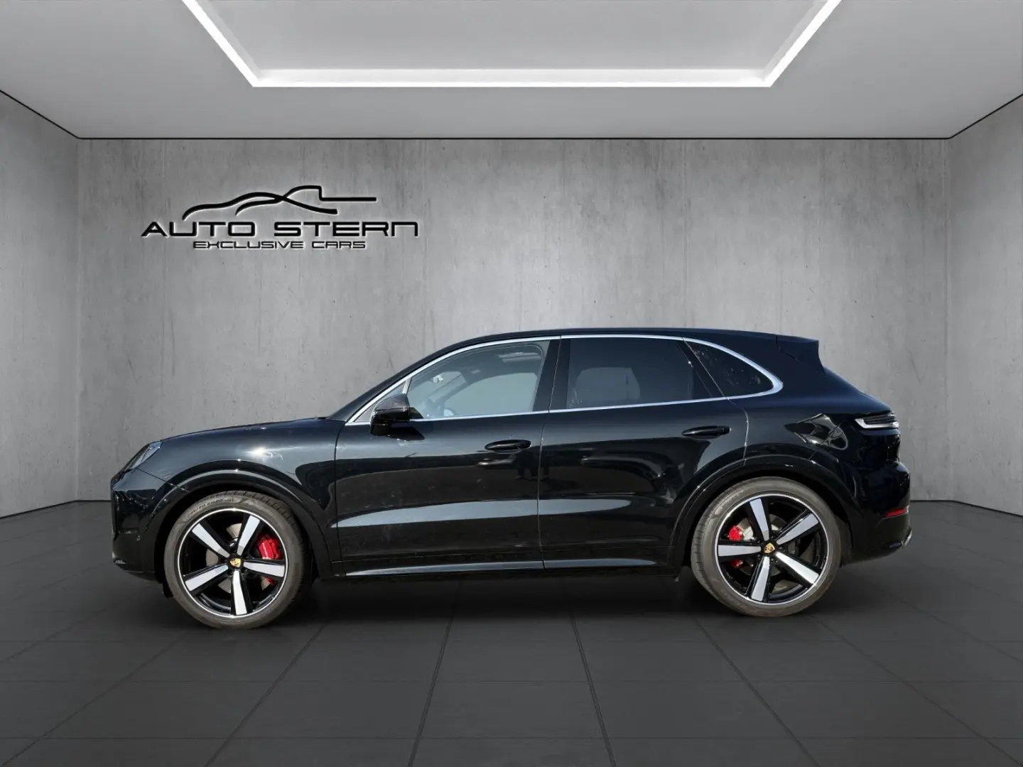 Cayenne S SportDesign CARBON HAL SPORTABGAS 22