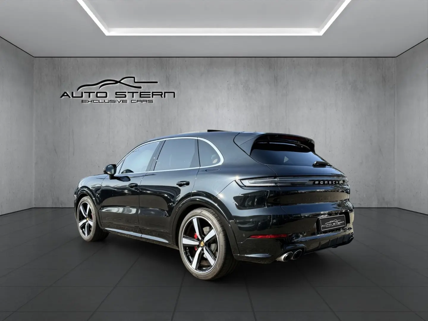 Cayenne S SportDesign CARBON HAL SPORTABGAS 22