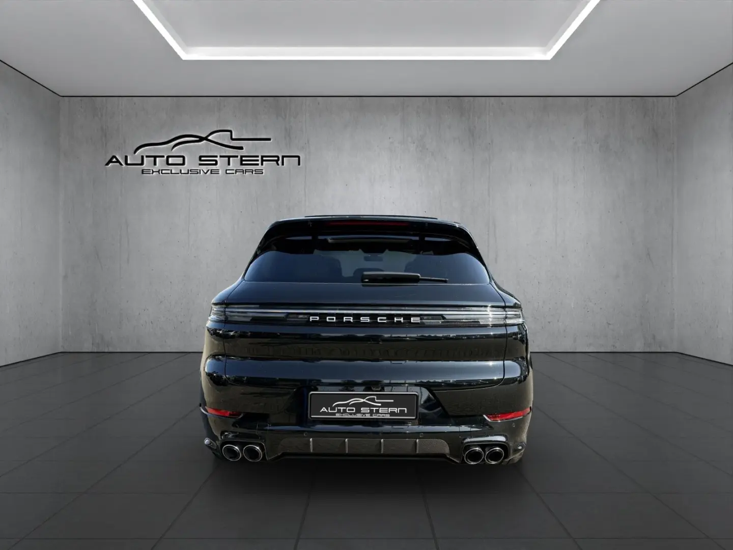 Cayenne S SportDesign CARBON HAL SPORTABGAS 22