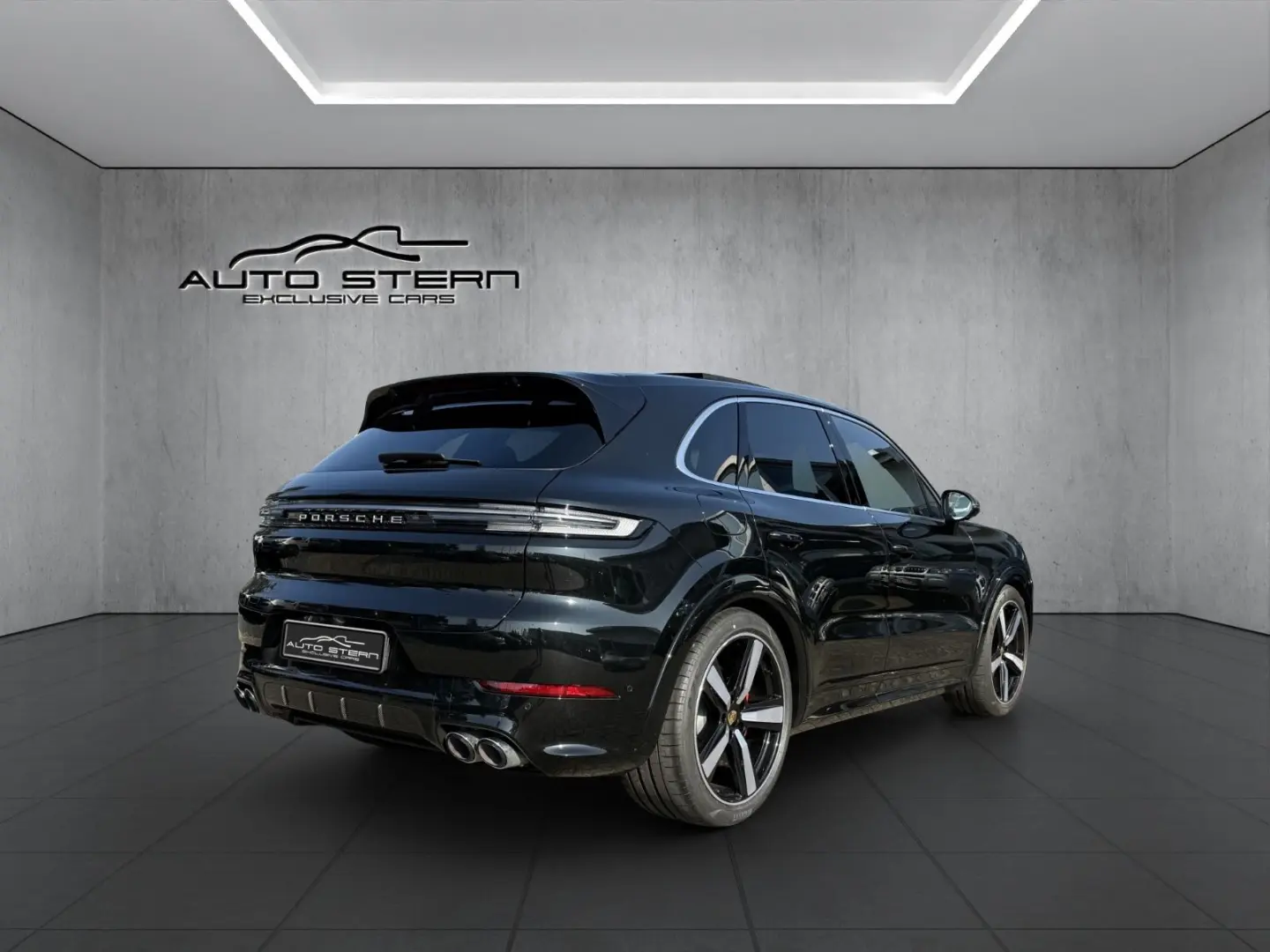 Cayenne S SportDesign CARBON HAL SPORTABGAS 22