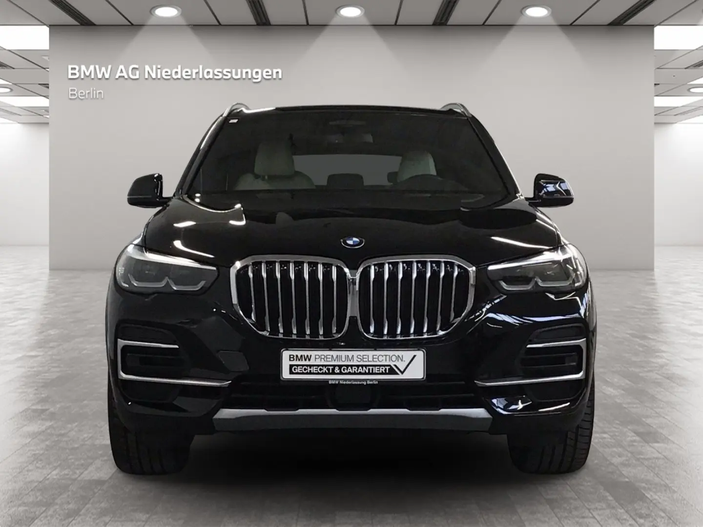 X5 xDrive30d AHK Driv.Assist.Prof Kamera HiFi