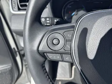 RAV 4 2.5 4x2 Hyb. Business