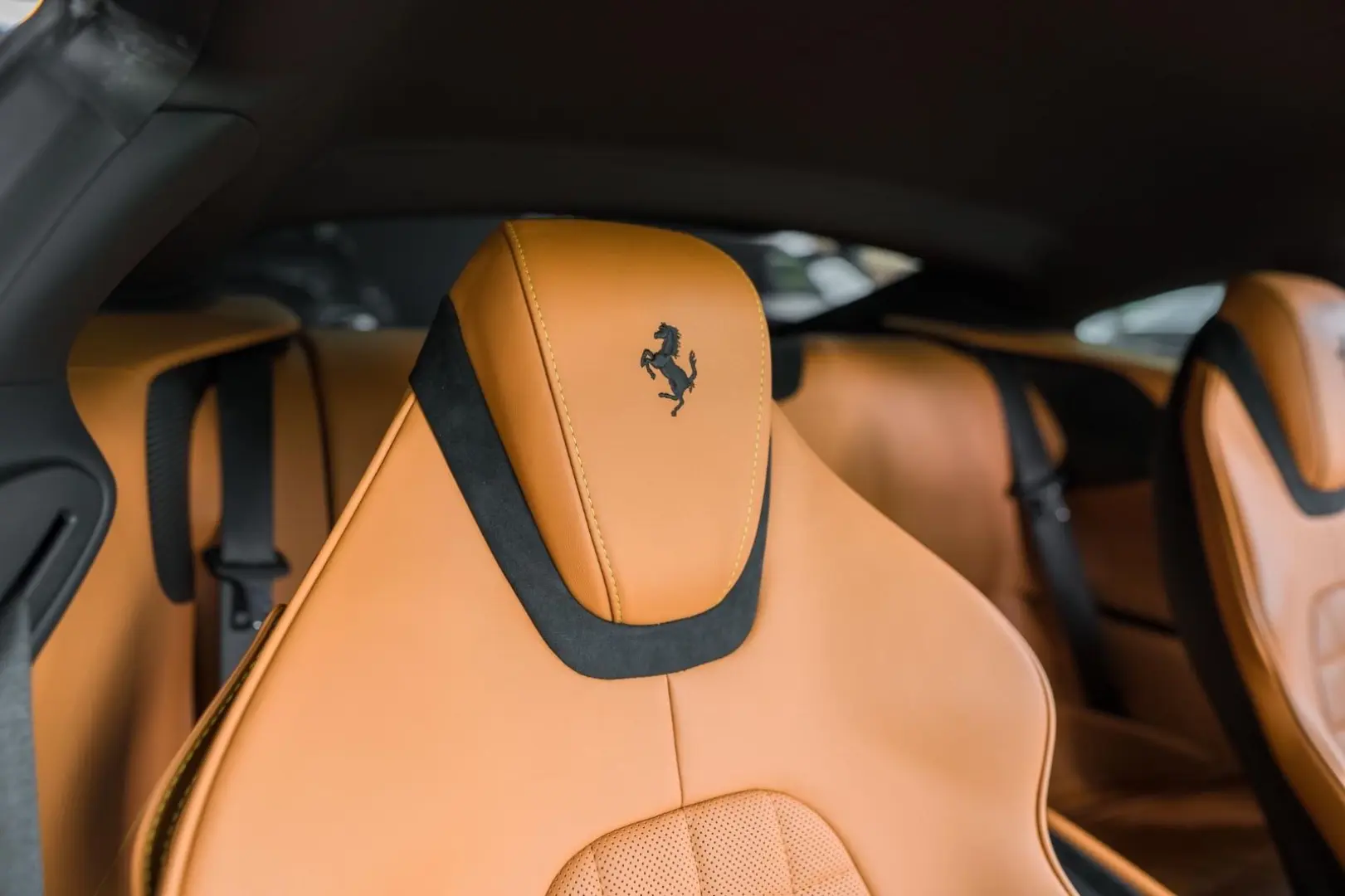 Roma- Passenger display- JBL- Carbon
