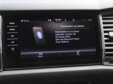 Kodiaq 2.0 TDI Scout *4x4*ST.HZG*NAVI*AHK*4xSHZ*