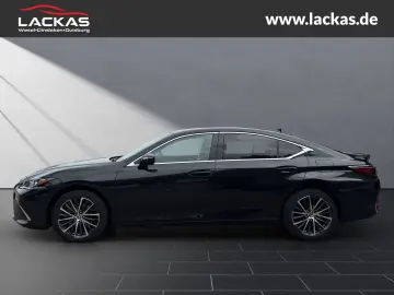 ES 300 h Business EU6d Schiebedach*SHZ* *Carplay