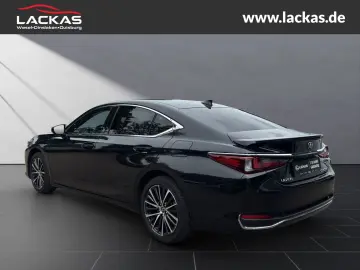 ES 300 h Business EU6d Schiebedach*SHZ* *Carplay