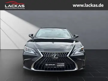 ES 300 h Business EU6d Schiebedach*SHZ* *Carplay