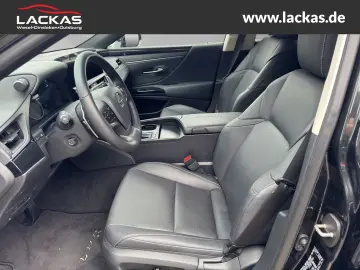 ES 300 h Business EU6d Schiebedach*SHZ* *Carplay