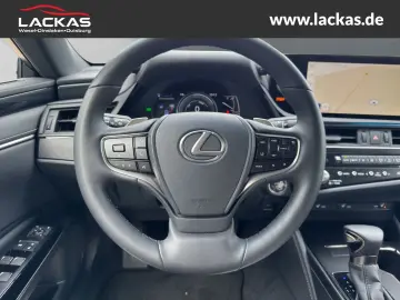 ES 300 h Business EU6d Schiebedach*SHZ* *Carplay
