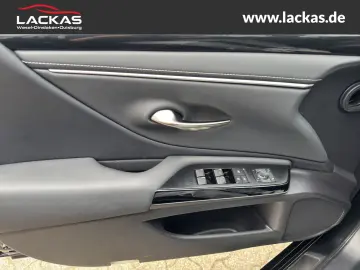 ES 300 h Business EU6d Schiebedach*SHZ* *Carplay