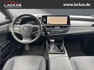 ES 300 h Business EU6d Schiebedach*SHZ* *Carplay