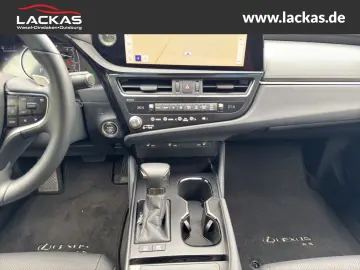 ES 300 h Business EU6d Schiebedach*SHZ* *Carplay