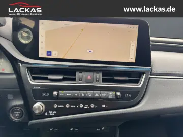 ES 300 h Business EU6d Schiebedach*SHZ* *Carplay