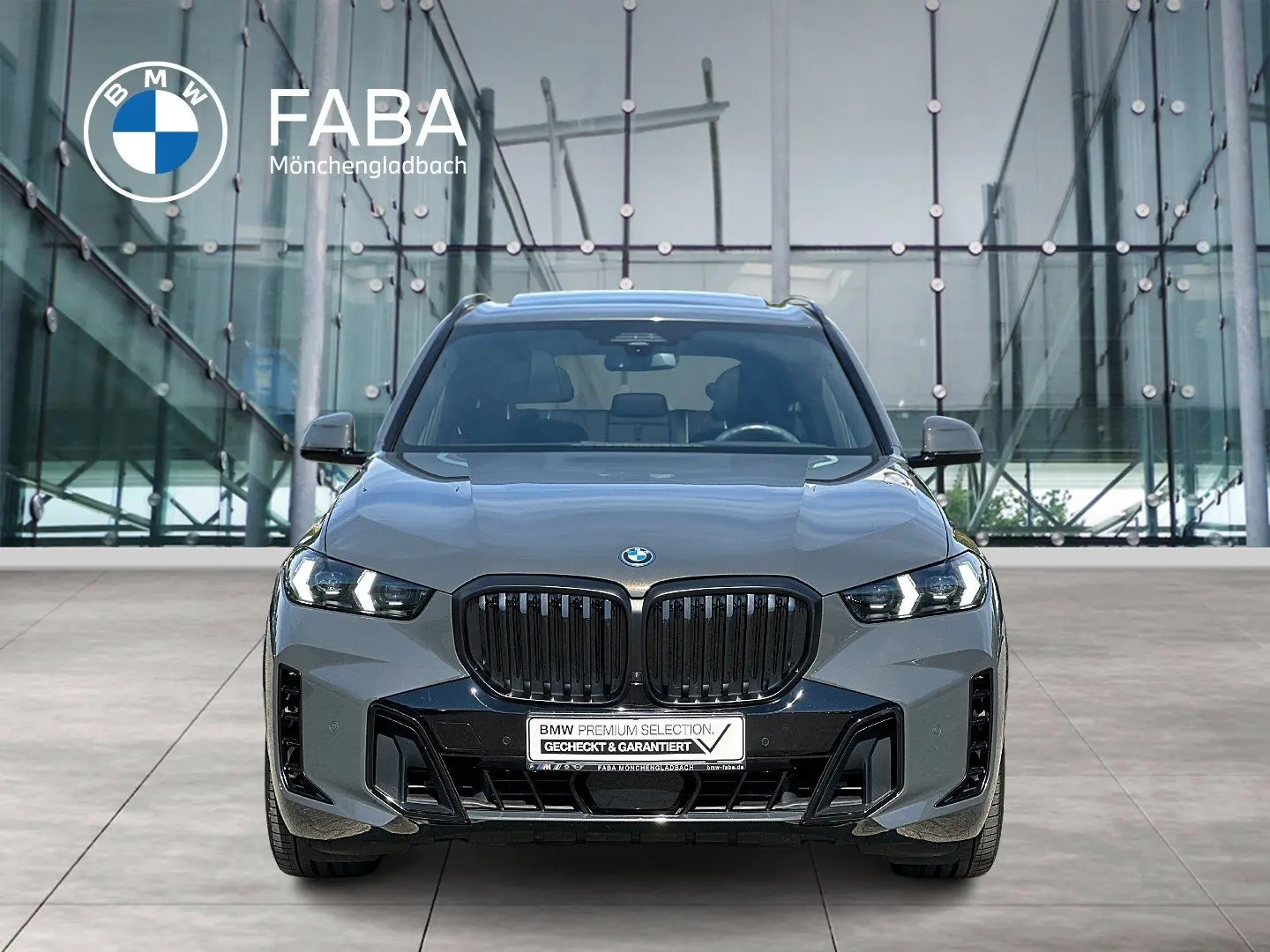 X5 xDrive50e M Sportpaket Gestiksteuerung DAB