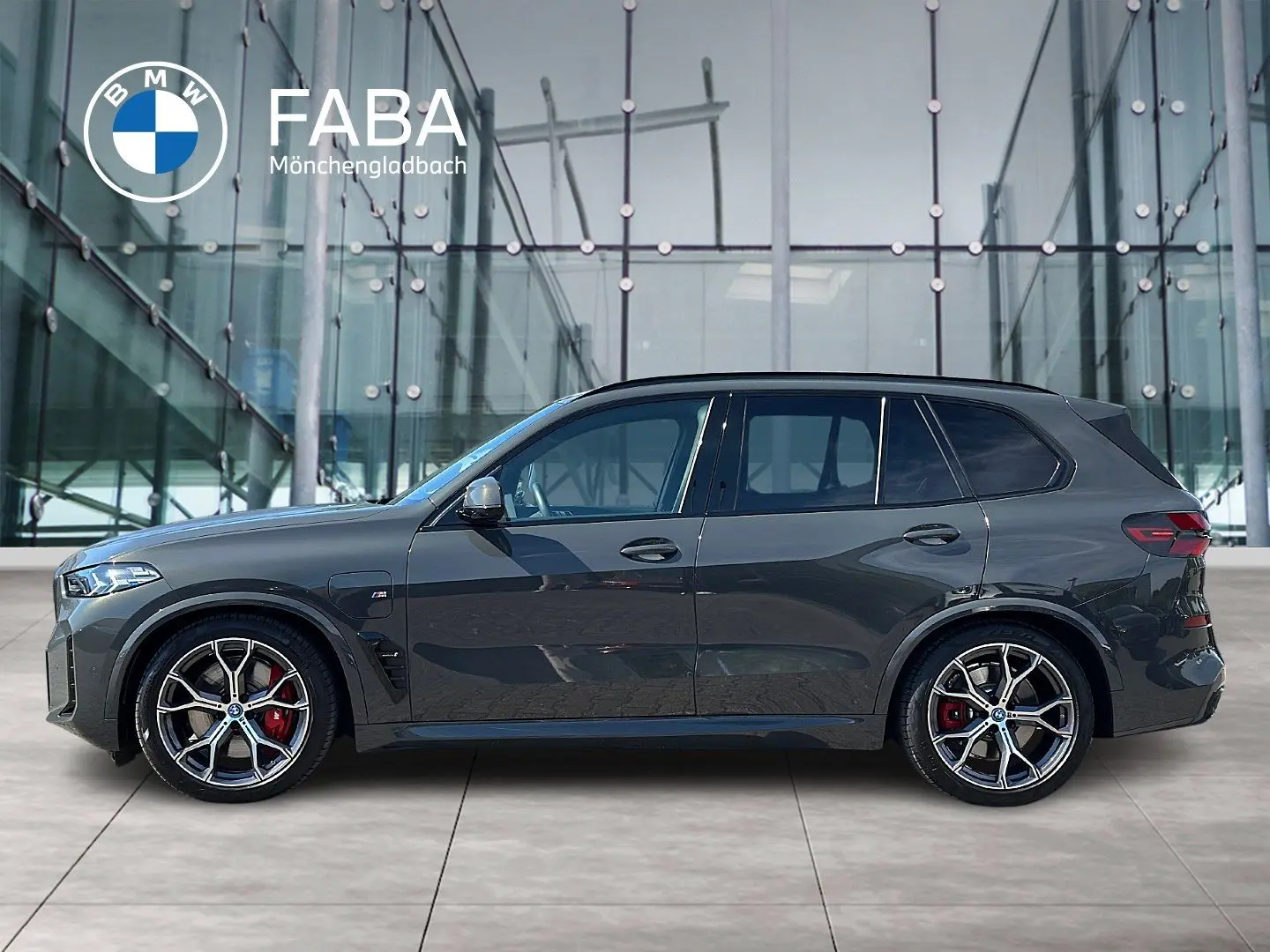 X5 xDrive50e M Sportpaket Gestiksteuerung DAB
