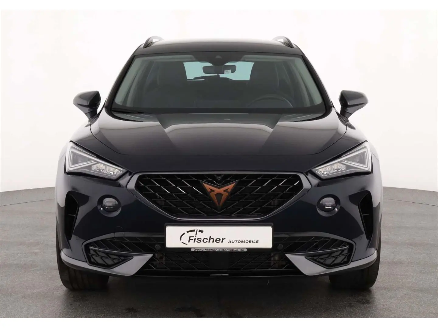 Formentor 1.4 eHybrid DSG AHK/NAV/360°/LED/ACC