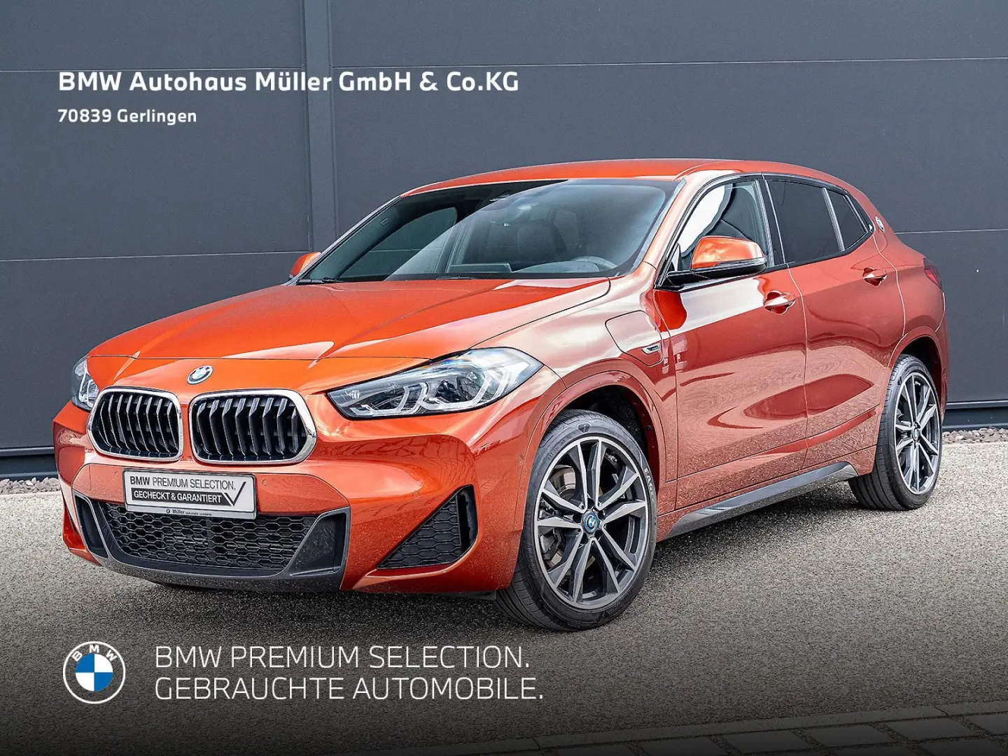 X2 xDrive25eA M Sportpaket HUD ACC Kamera Navi