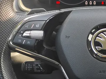 Kodiaq Clever Traveller+|ACC|DCC|Virtual|Canton