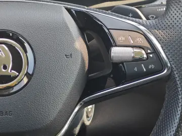 Kodiaq Clever Traveller+|ACC|DCC|Virtual|Canton