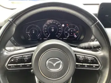 CX-60 2.5 PHEV Homura 3 Zusatzpakete + Garantie
