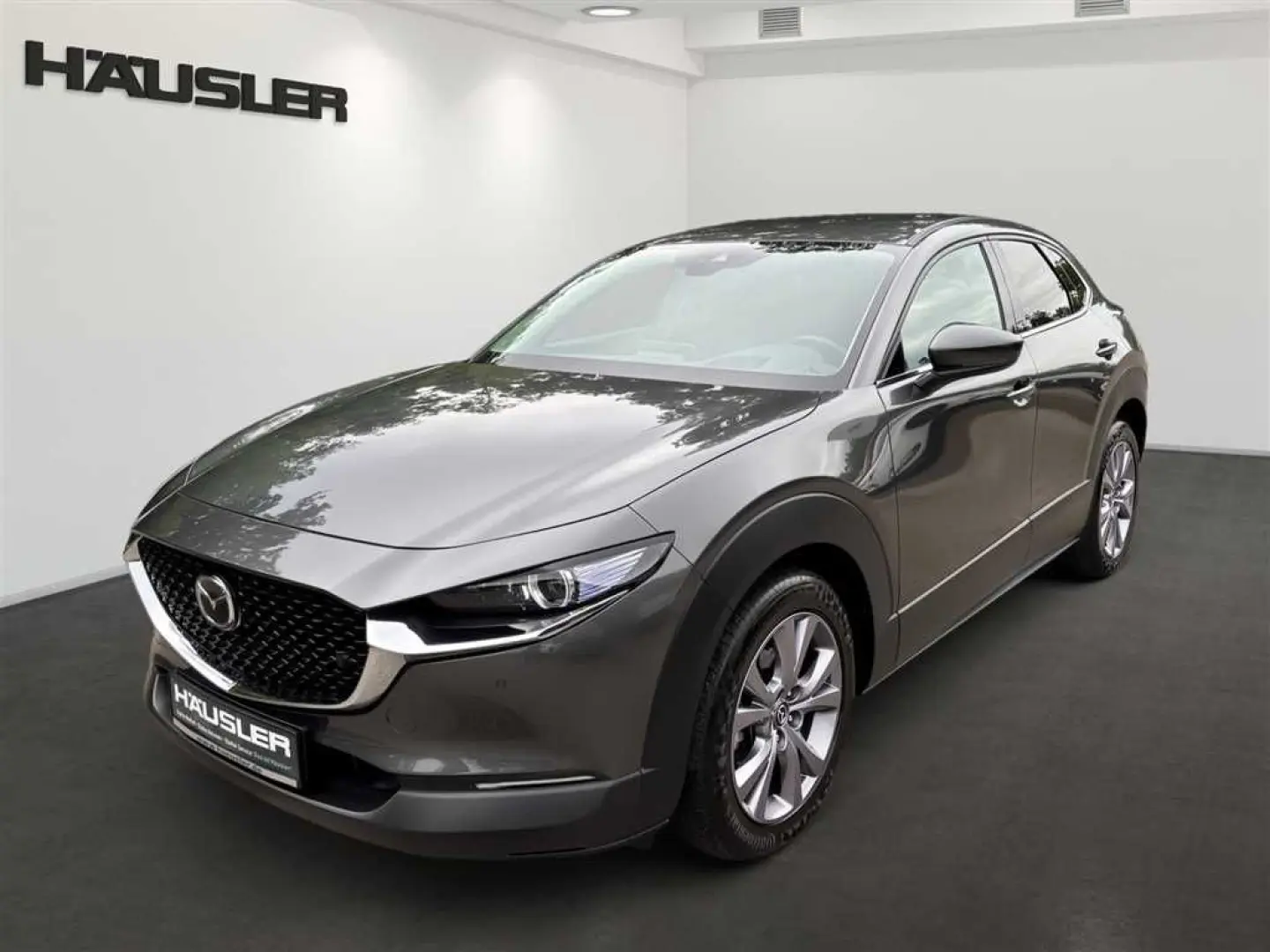 CX-30 Selection 2.0 M Hybrid Navi,LED,Kamera,HEA