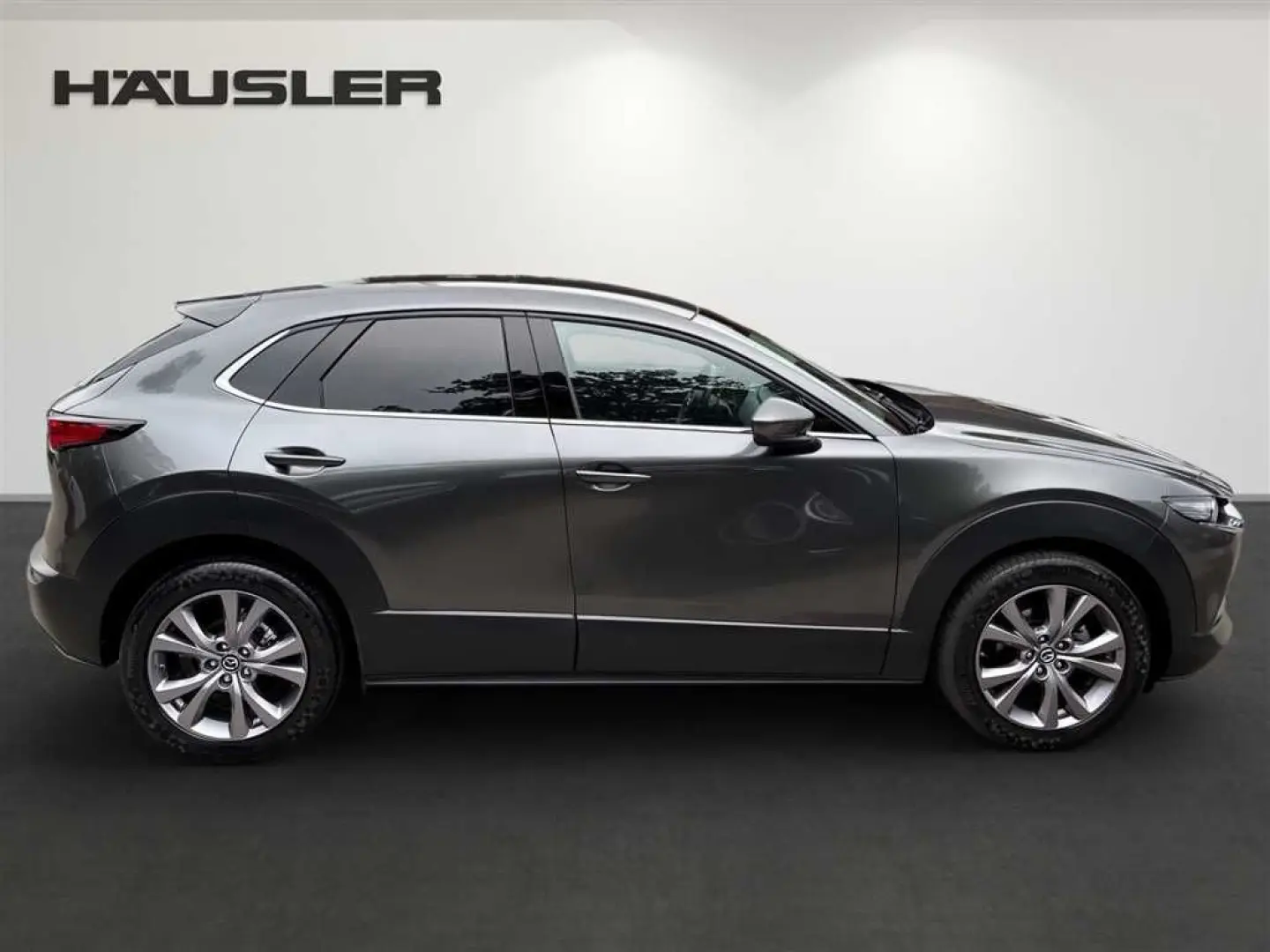 CX-30 Selection 2.0 M Hybrid Navi,LED,Kamera,HEA