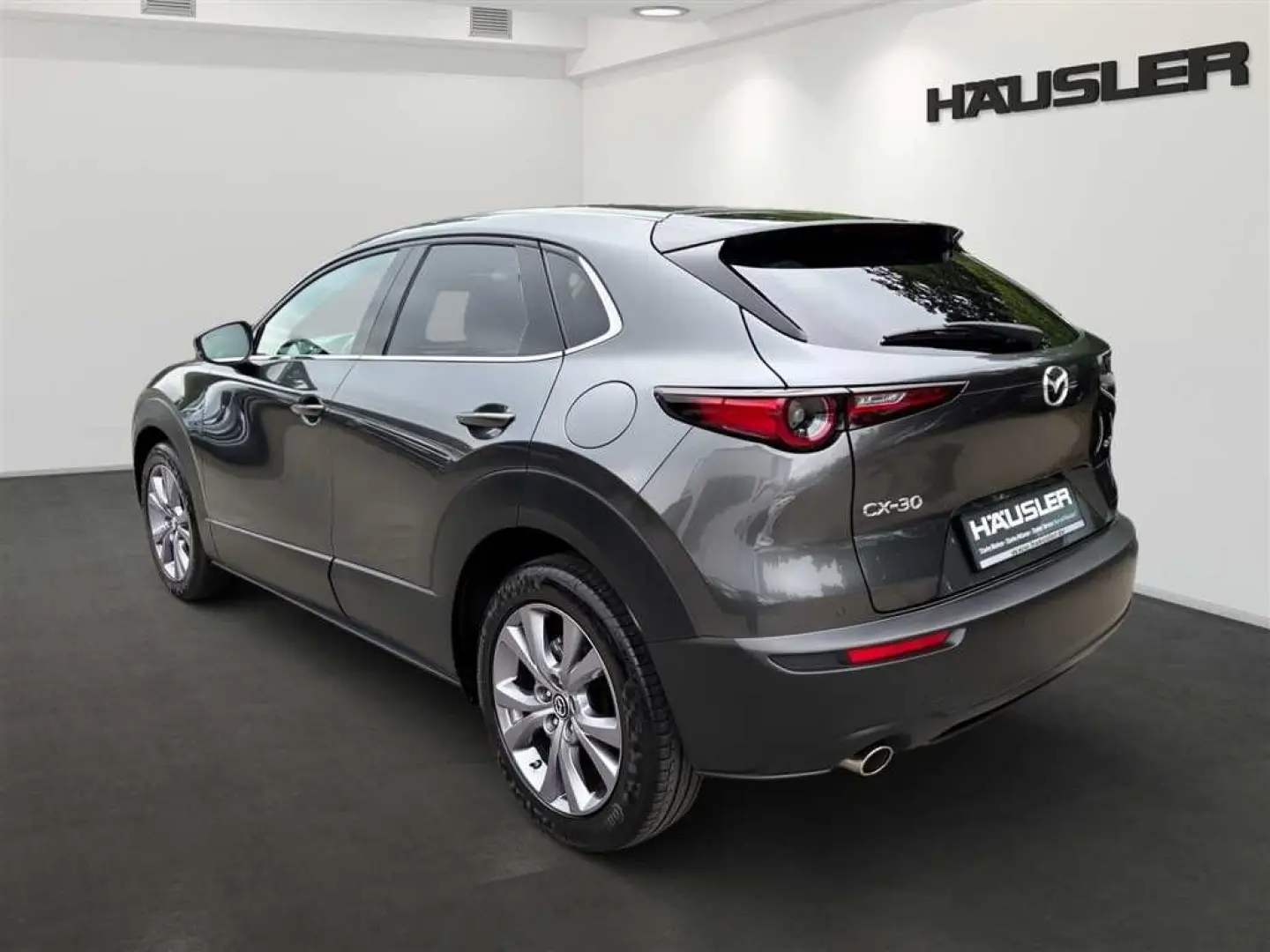 CX-30 Selection 2.0 M Hybrid Navi,LED,Kamera,HEA