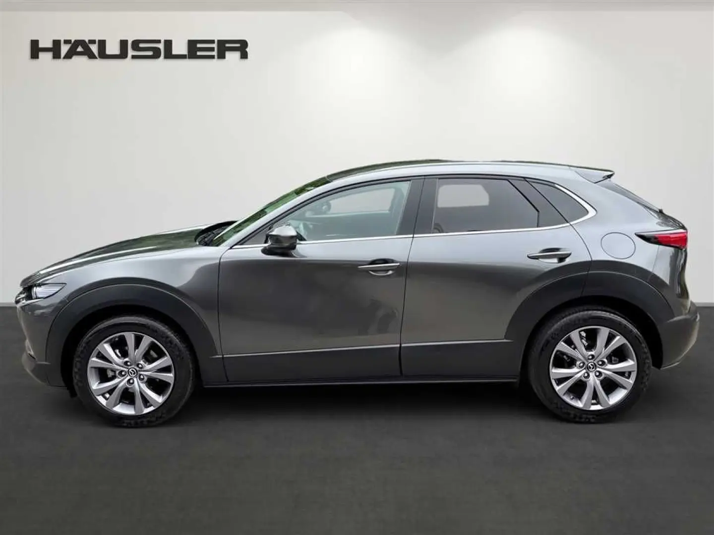 CX-30 Selection 2.0 M Hybrid Navi,LED,Kamera,HEA