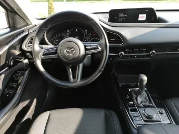 CX-30 SELECTION PRE-P 360° BOSE Klimaaut Sitzhei