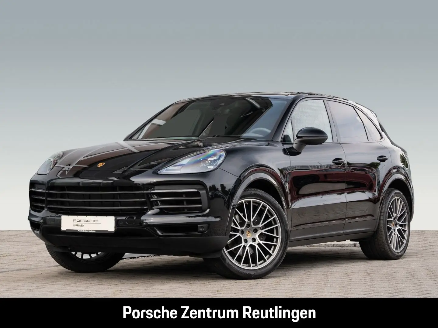 Cayenne Platinum Edition Rückfahrkamera