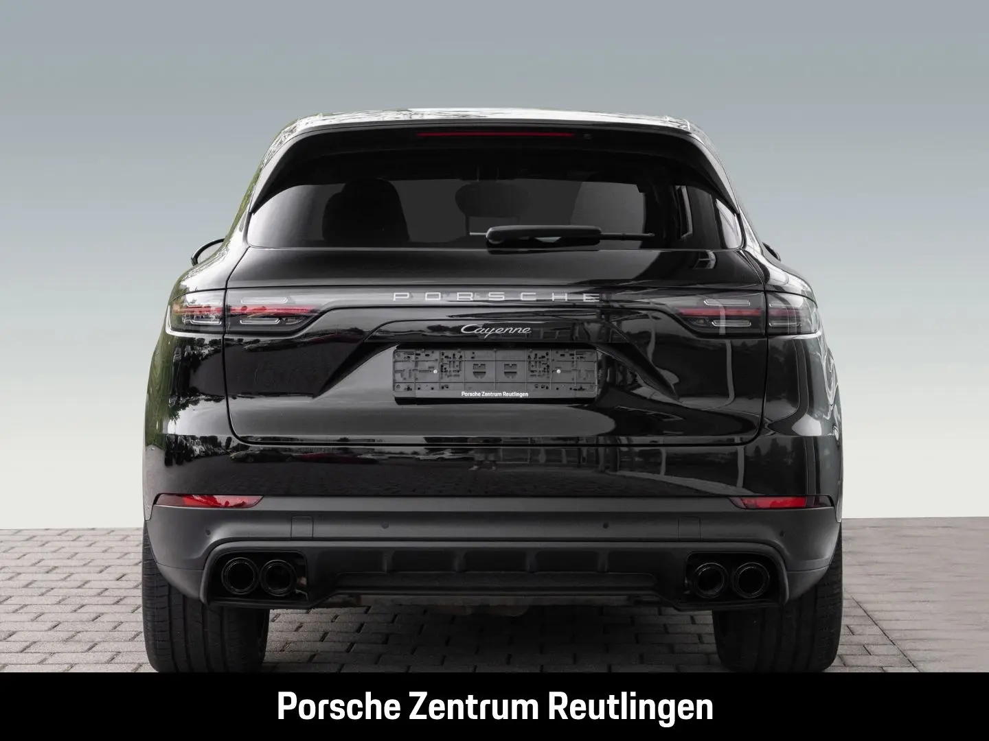 Cayenne Platinum Edition Rückfahrkamera