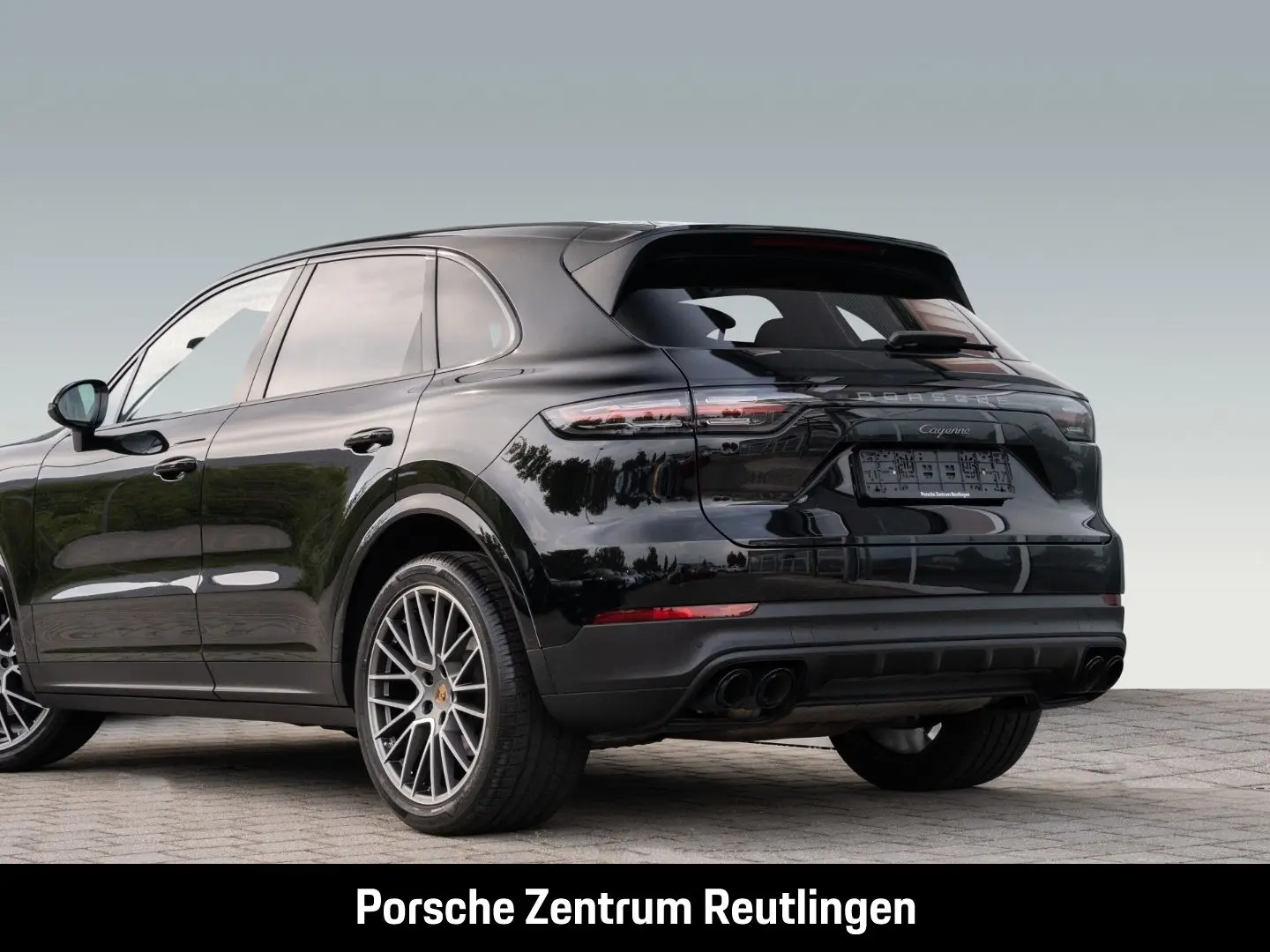Cayenne Platinum Edition Rückfahrkamera