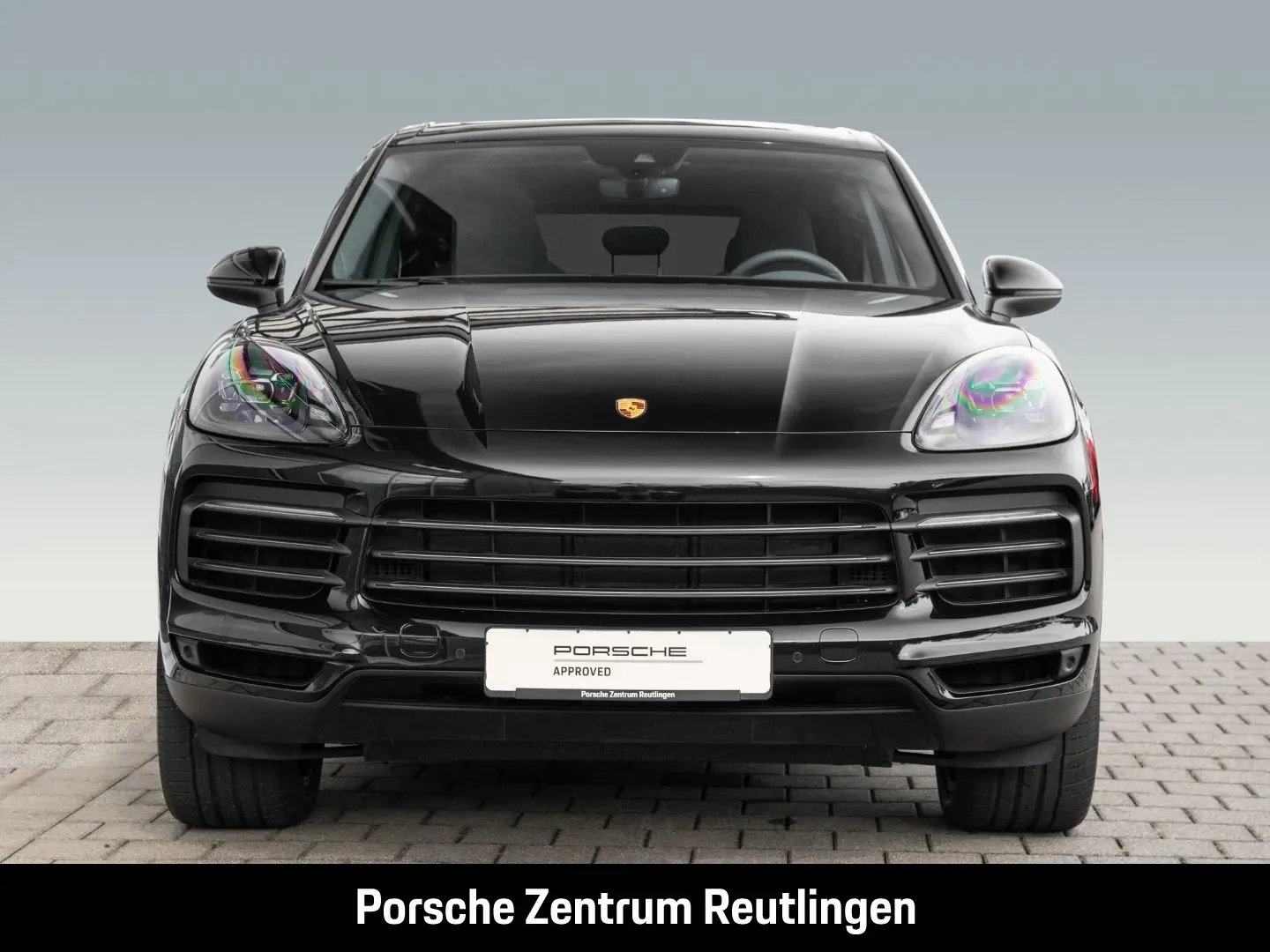 Cayenne Platinum Edition Rückfahrkamera