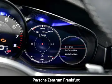 Cayenne Platinum Edition Panoramadach LED