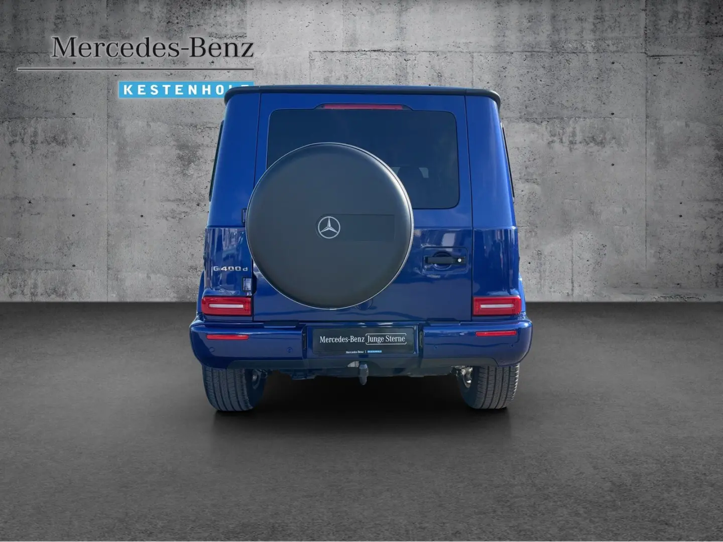 G 400 d PROFESSIONAL+TV+360°+GSD+DISTRONIC+AHK