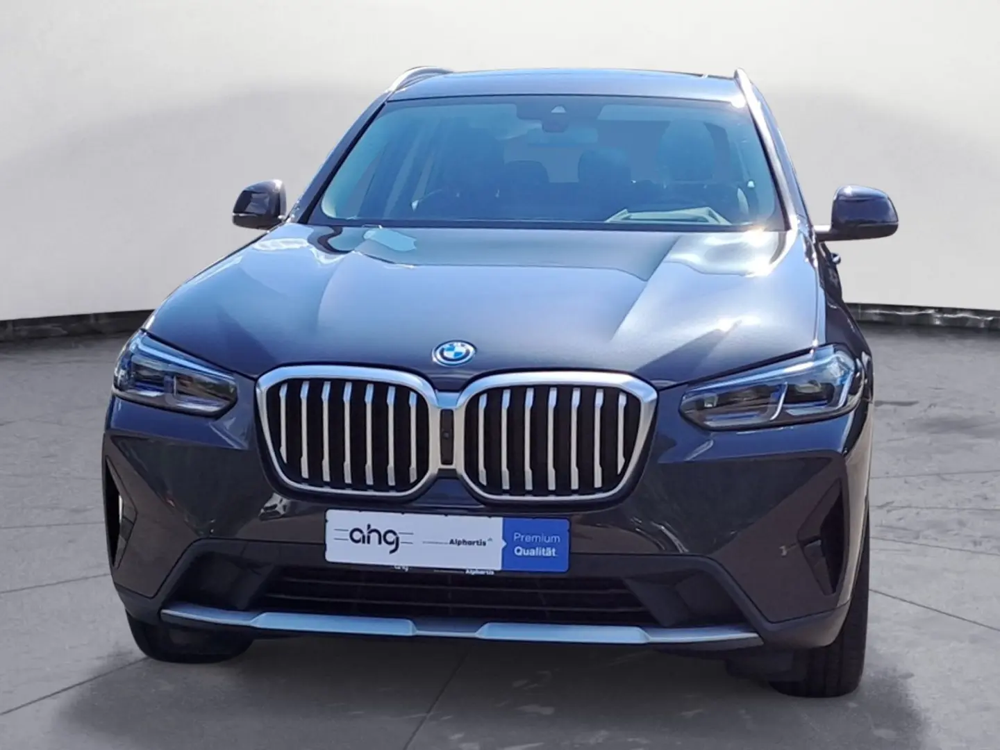 X3 xDrive30e Aut. Innovationsp. Panorama Hifi He