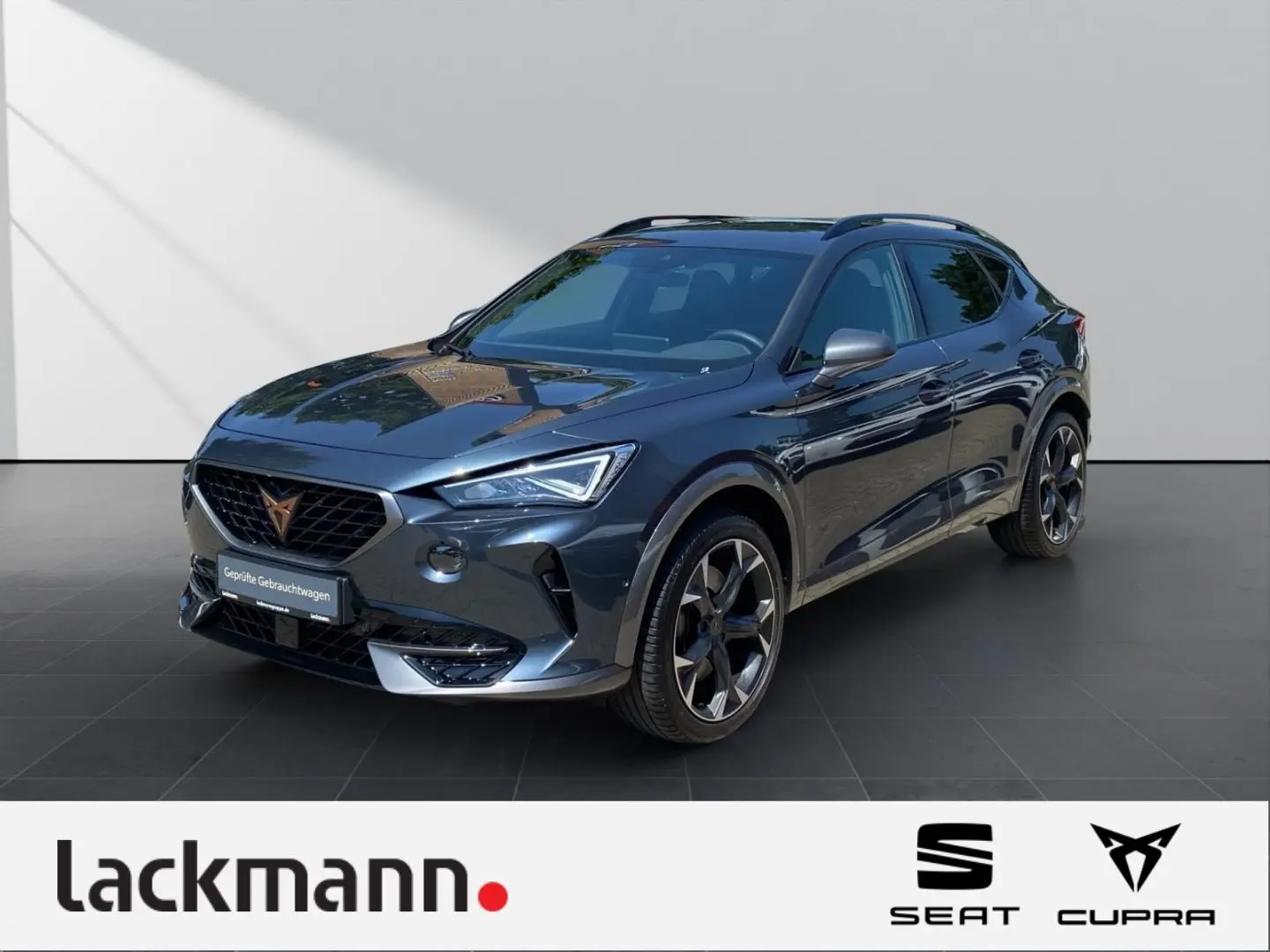 Formentor 2.0 4Drive *Navi*Winter*CarPlay*Memory