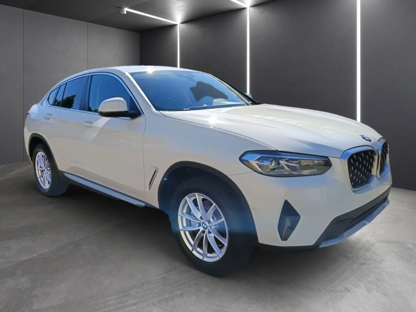 X4 xDrive20i 18