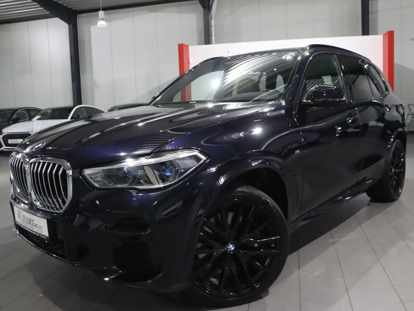 X5 xDrive 40d INDIVIDUAL M-SPORTPAKET SKY-LOUNGE