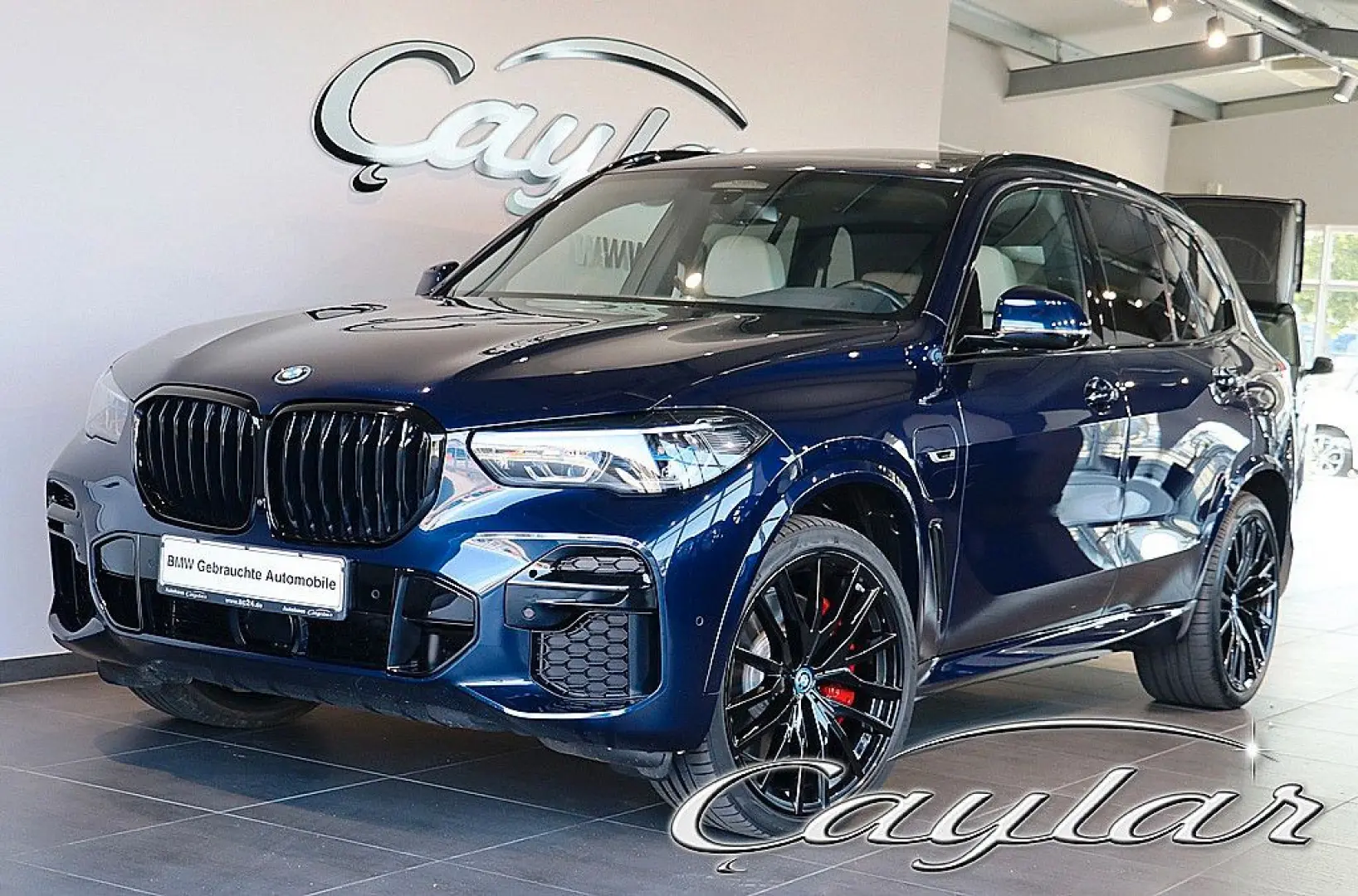 X5 45e M SPORT SKY LOUNGE BELÜFTET NAPPA B&W 22
