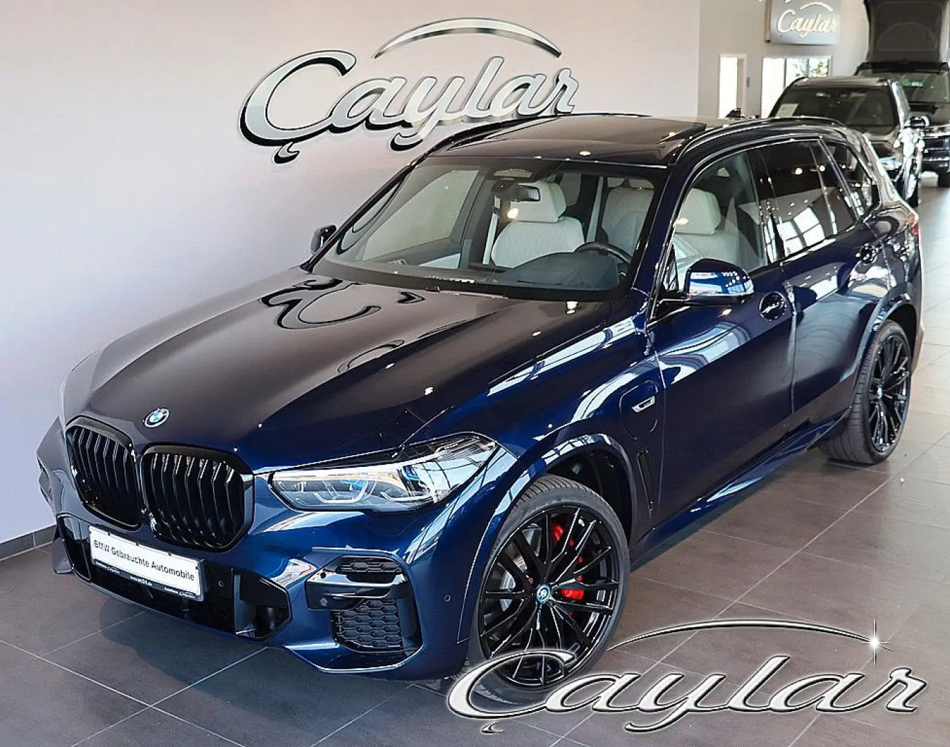 X5 45e M SPORT SKY LOUNGE BELÜFTET NAPPA B&W 22