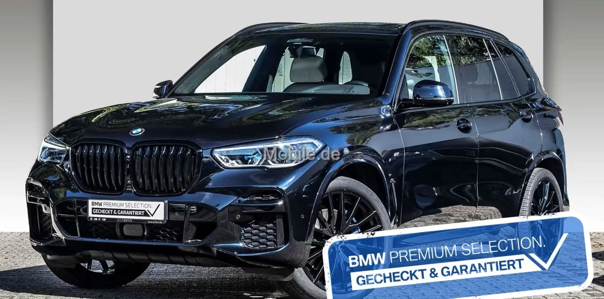 X5 xDrive40i M Sportpaket RfKam. HeadUp h k Pano