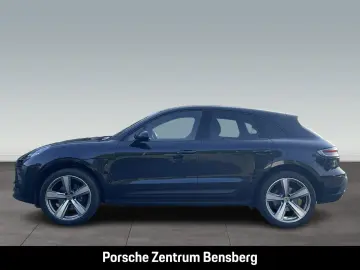 Macan