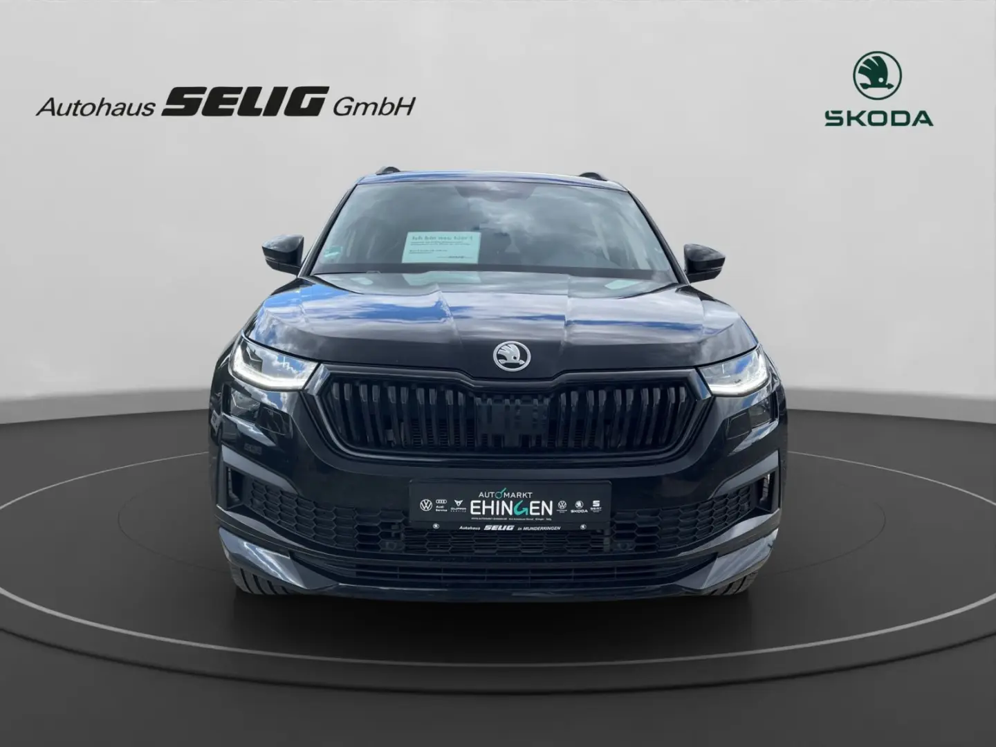 Kodiaq Sportline 2.0 TDI 200 PS DSG 4x4, Standhe