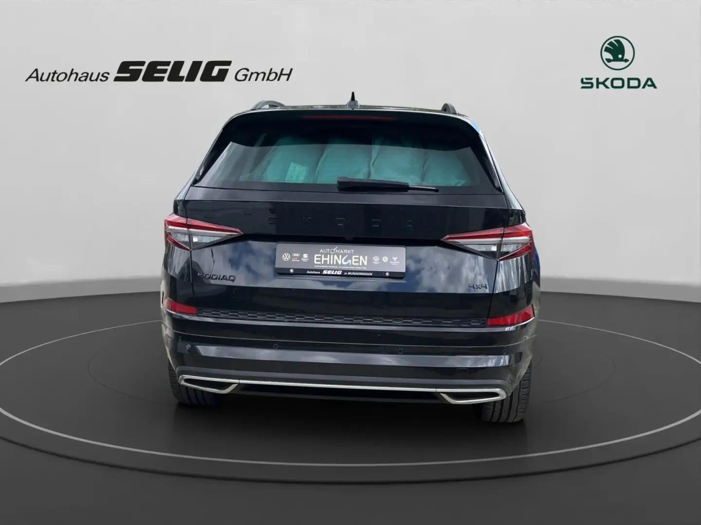 Kodiaq Sportline 2.0 TDI 200 PS DSG 4x4, Standhe