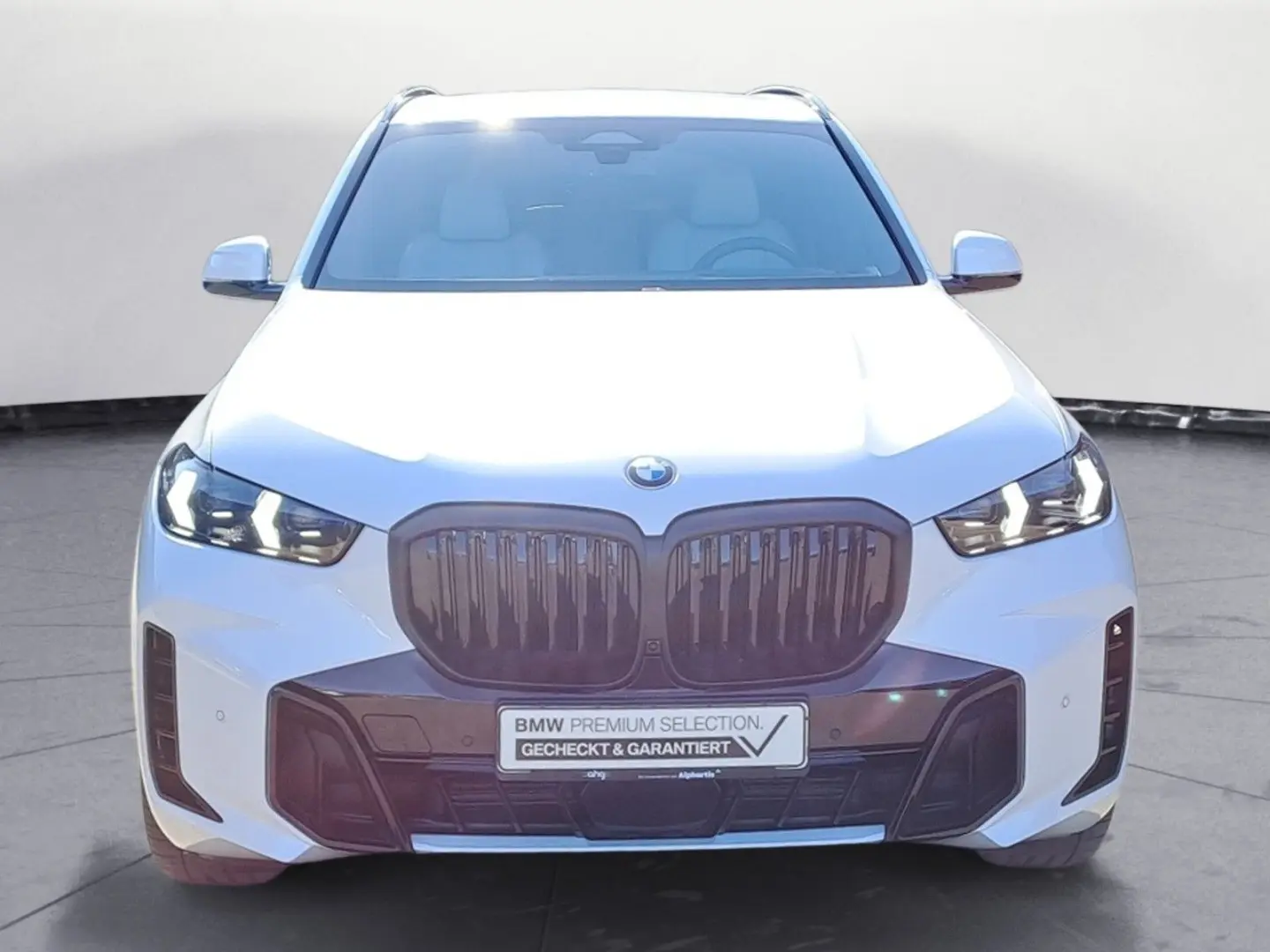 X5 xDrive30d M Sportpaket Innovationsp. AHK Stan