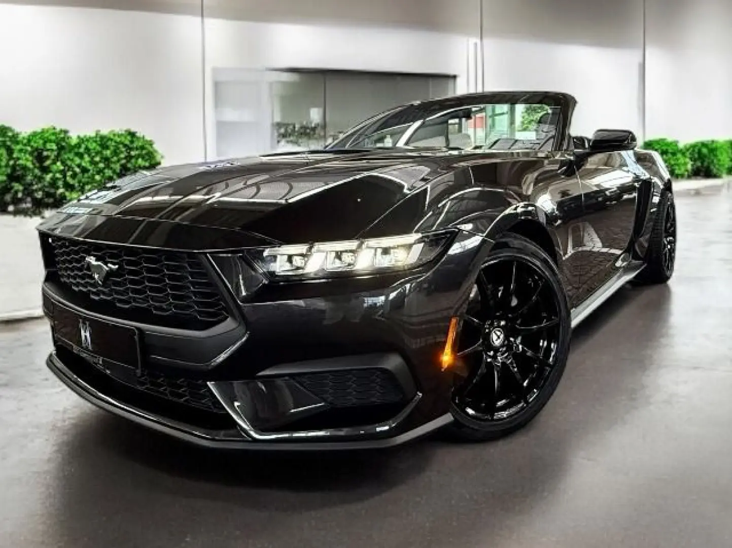 Mustang 2,3 EcoBoost Cabrio Autom. + Garantie